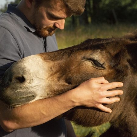 La photo ANIMAUX (11).jpg a été réduite de 96.71 % le Jeudi 03 Avril 2025 à 09:04 par Photo Réducteur v4.6 à télécharger sur https://www.emjysoft.com/